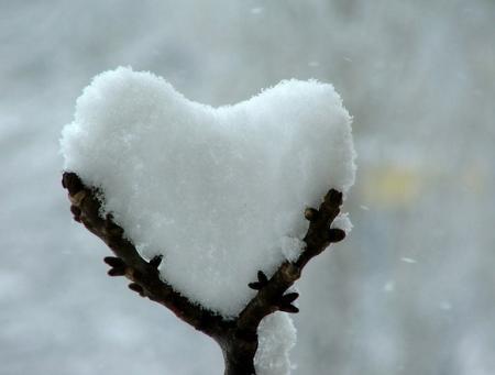 la mort mais l'amour
